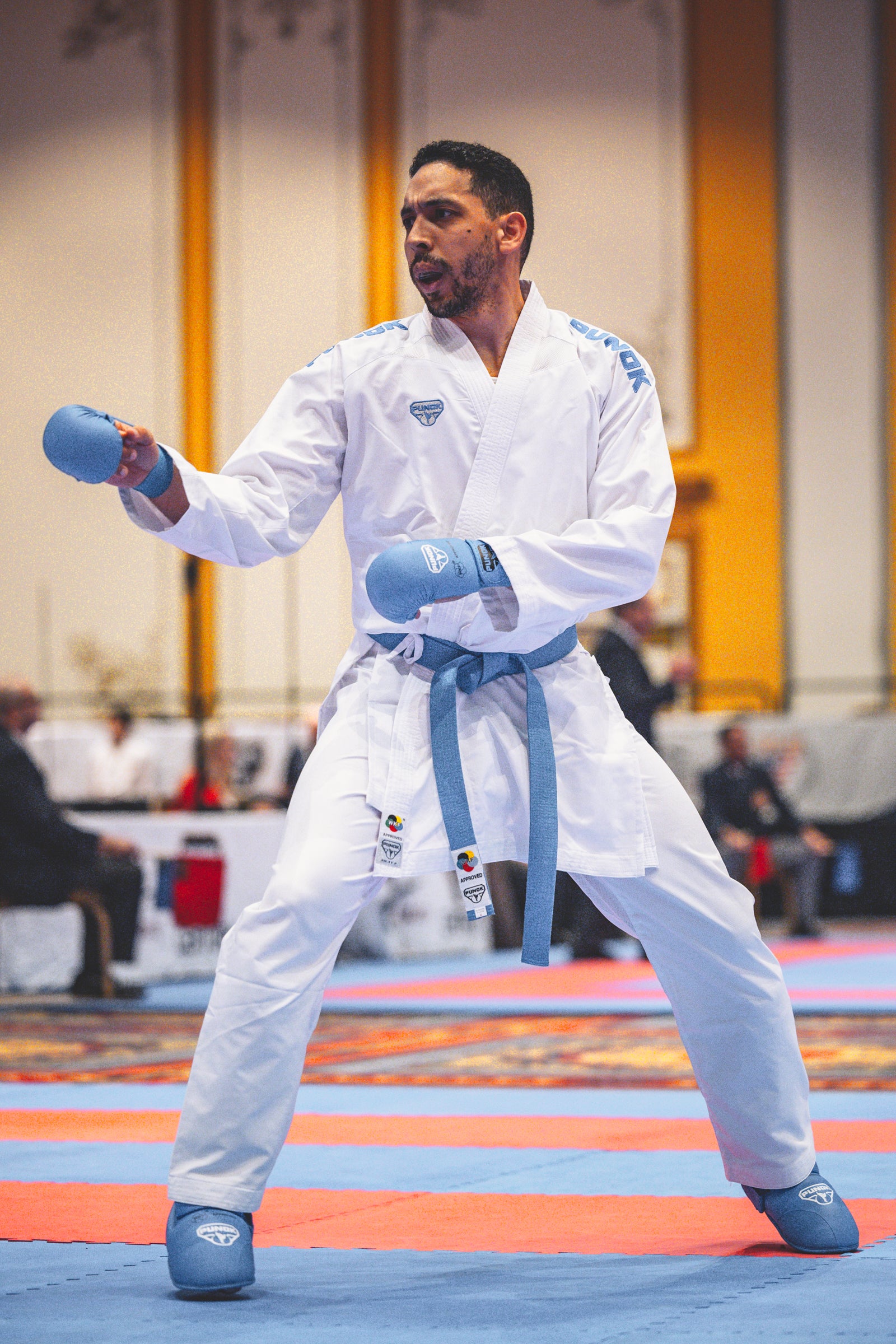 martial artist competing