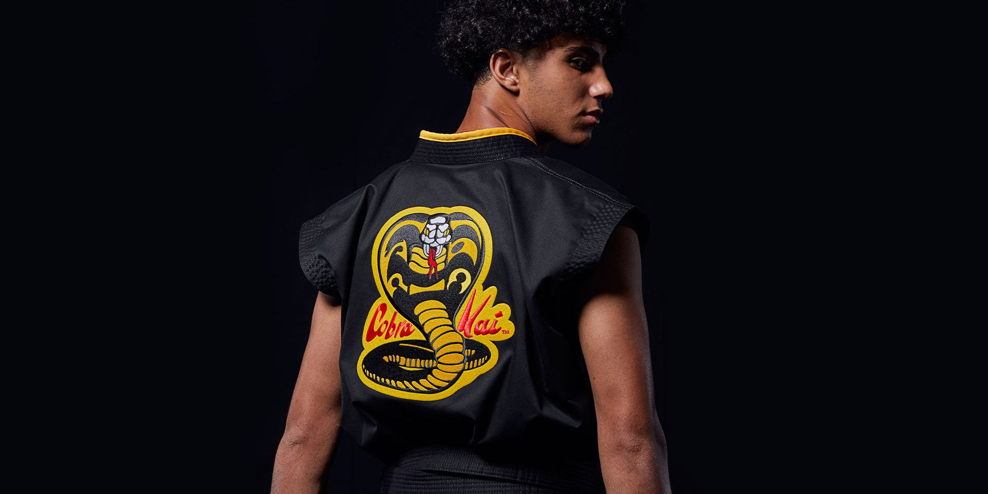 Cobra Kai - Century Martial Arts