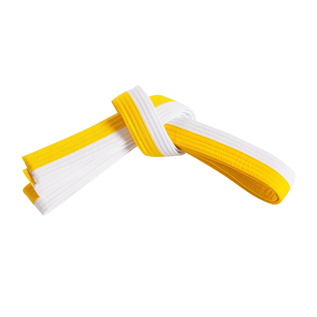 Double Wrap Two Tone Belt double-wrap-two-tone-belt-295708