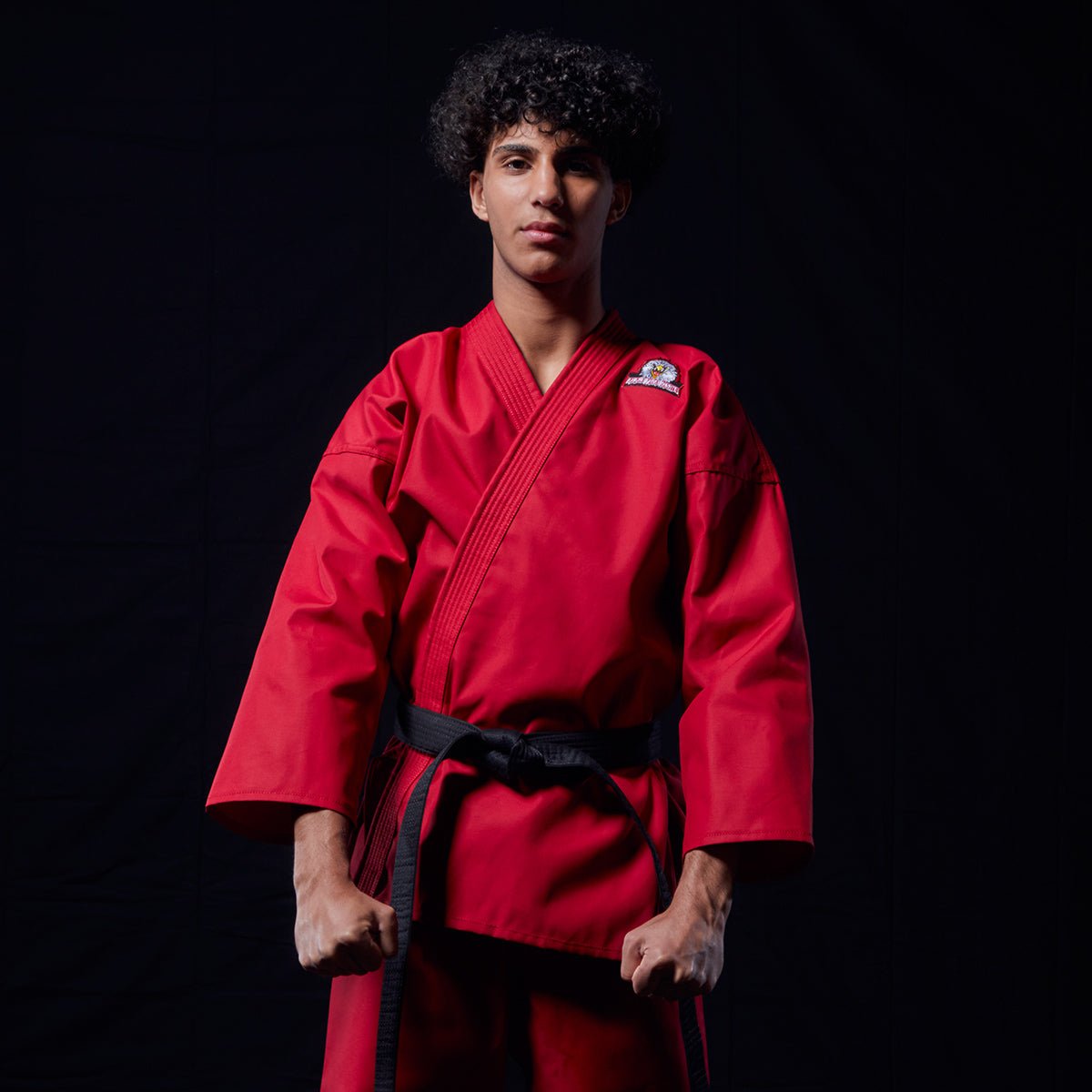 Eagle Fang Karate Gi eagle-fang-karate-gi-244982